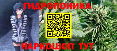 не бодяженный Будённовск