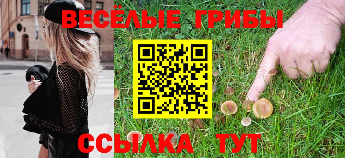 Псилоцибиновые грибы ЛСД Реутов
